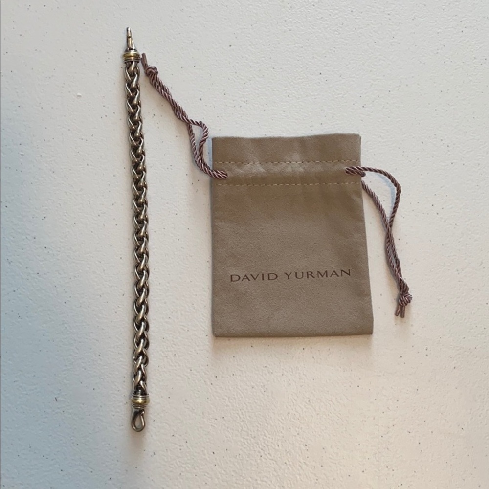 Men's Metallic Lg Wheat Chain Bracelet With Gold